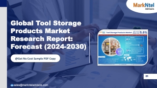 Tool Storage Products Market Trends and Forecast Report 2030