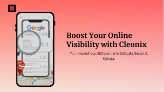 Boost Your Online Visibility with Cleonix
