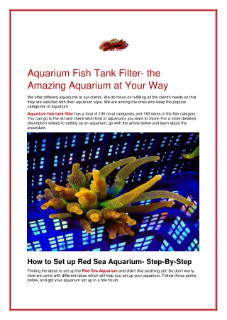Aquarium Fish Tank Filter- The Amazing Aquarium at Your Way