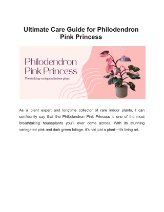 Ultimate Care Guide for Philodendron Pink Princess