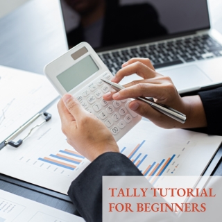 Tally tutorial for beginners