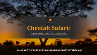 What Are the Best African Safari Packages in Tanzania?