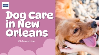 Dog Care in New Orleans