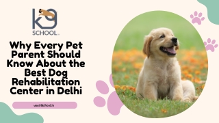 Why Every Pet Parent Should Know About the Best Dog Rehabilitation Center in Delhi