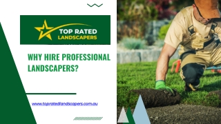Why hire professional landscapers
