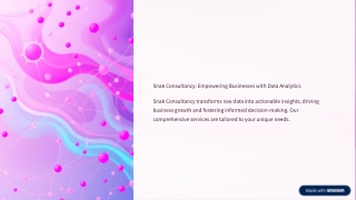 Snak-Consultancy-Empowering-Businesses-with-Data-Analytics