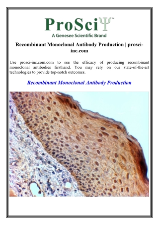 Recombinant Monoclonal Antibody Production prosci-inc.com