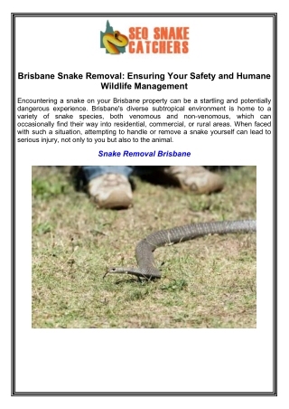 Brisbane Snake Removal Ensuring Your Safety and Humane Wildlife Management