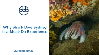 Why Shark Dive Sydney Is a Must-Do Experience