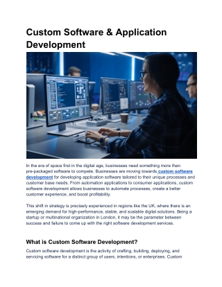 Custom Software Development Services | Warrgyizmorsch Experts