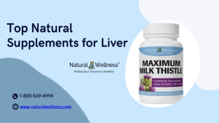 Top Natural Supplements for Liver - www.naturalwellness.com