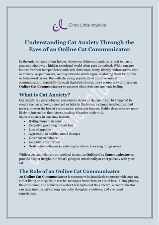Understanding Cat Anxiety Through the Eyes of an Online Cat Communicator