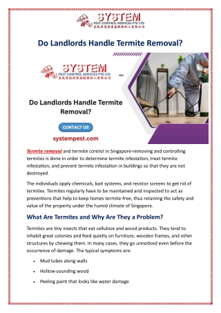Do Landlords Handle Termite Removal?