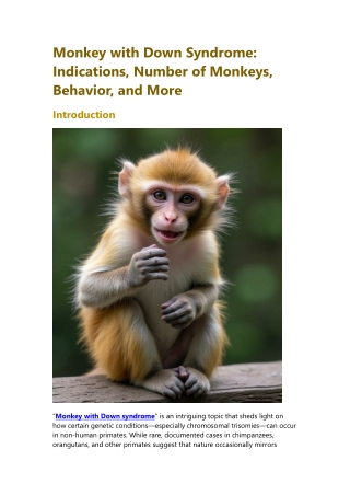 Monkey with Down Syndrome Understanding Trisomy in Primates