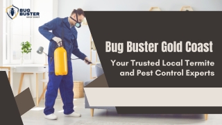 Bug Buster Gold Coast: Trusted Termite & Pest Control Experts