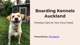Boarding Kennels Auckland_K9 Heaven