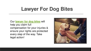 Lawyer For Dog Bites
