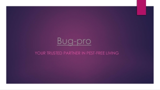 Trusted Pest Control Firm in Lagos for Effective & Safe Solutions
