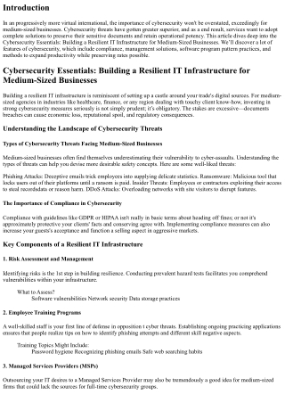 Cybersecurity Essentials: Building a Resilient IT Infrastructure for Medium-Size