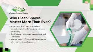 Professional Trash Removal and Cleaning Services You Can Trust