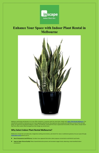 Enhance Your Space with Indoor Plant Rental in Melbourne