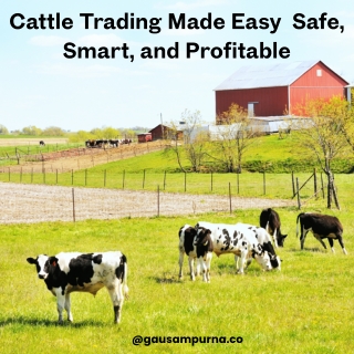 Cattle Trading Made Easy  Safe, Smart, and Profitable