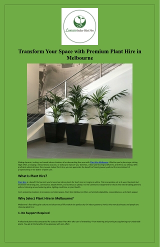 Transform Your Space with Premium Plant Hire in Melbourne