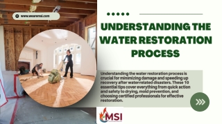 UNDERSTANDING THE WATER RESTORATION PROCESS