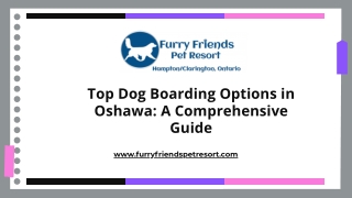 Trusted Dog Boarding in Oshawa – Furry Friends Pet Resort