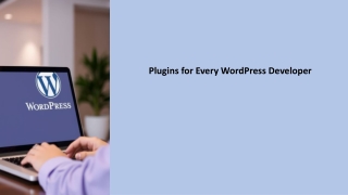 Plugins for Every WordPress Developer