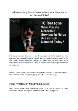 10 Reasons Why Private Detective Services in Noida Are in High Demand Today