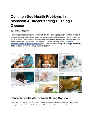 Common Dog Health Problems in Monsoon & Understanding Cushing’s Disease