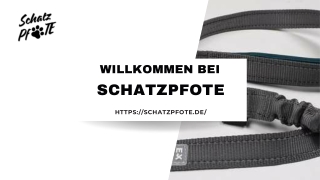 Pet-star leine (passend zum pet-star softgeschirr / netzgeschirr) - blau günstig