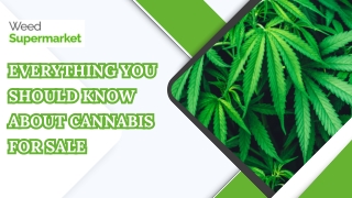 A Complete Overview of Cannabis for Sale Today
