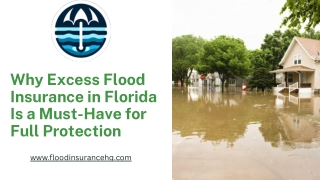 Why Excess Flood Insurance in Florida Is a Must-Have for Full Protection