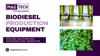 Top-Grade Biodiesel Production Equipment for Efficient Fuel Processing