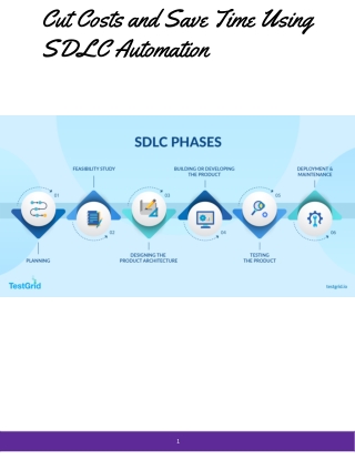 Common Challenges Solved by SDLC Automation