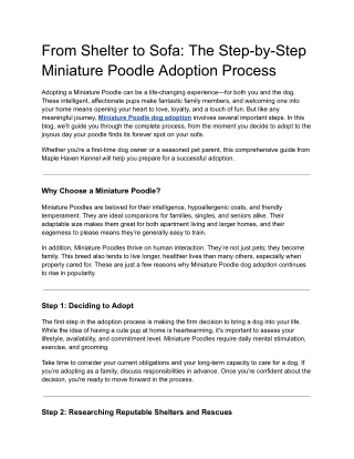 From Shelter to Sofa_ The Step-by-Step Miniature Poodle Adoption Process