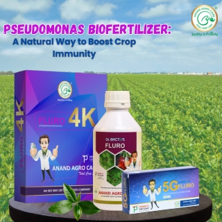 Boost Your Crop Health Naturally with Pseudomonas fluorescens Biofertilizer