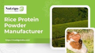 Rice Protein Powder Manufacturers