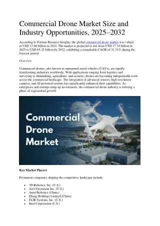 Commercial Drone Market Size