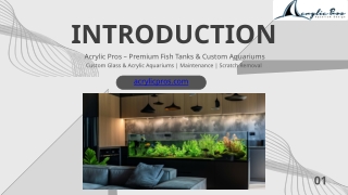 Premium Custom Fish Tanks by Top Manufacturers in California