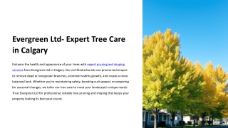 Calgary Tree Pruning and Shaping Services – Evergreen Ltd