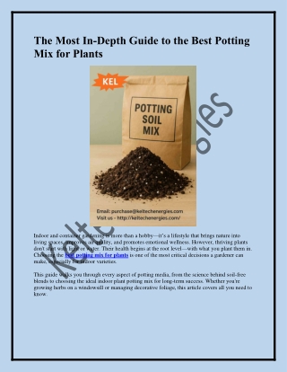 Best Indoor Potting Mix for Healthy Plant Growth