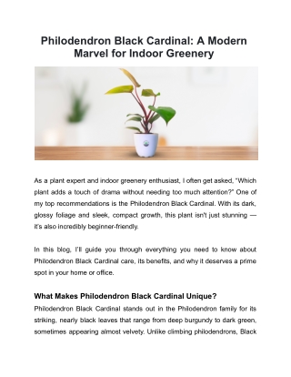 Philodendron Black Cardinal: A Modern Marvel for Indoor Greenery