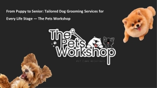 From Puppy to Senior Tailored Dog Grooming Services for Every Life Stage — The Pets Workshop