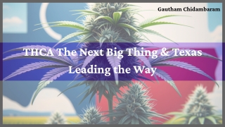 Texas & THCA: Gautham Chidambaram Breaks It Down