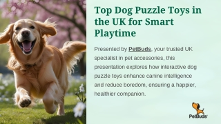 Top-Dog-Puzzle-Toys-in-the-UK-for-Smart-Playtime