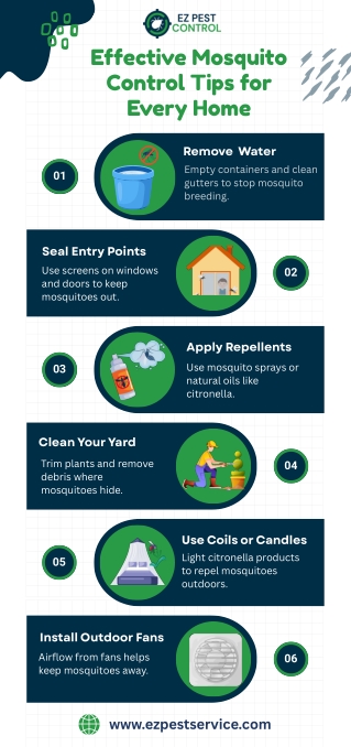 Top Home Remedies and Expert Tips for Mosquito Control