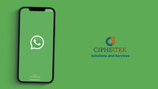 Boost Your Business with Ciphertek on WhatsApp | WhatsApp Marketing Services in